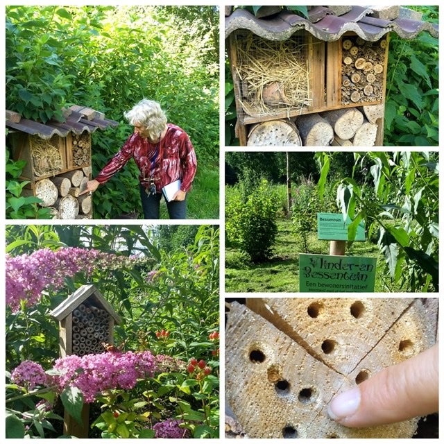 aandacht voor insecten in Wijkpark Maarssenbroek